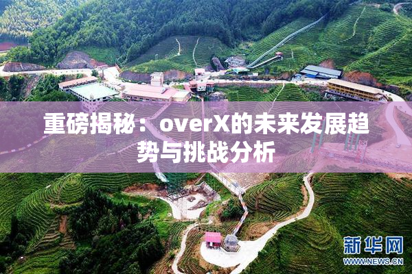 重磅揭秘：overX的未来发展趋势与挑战分析