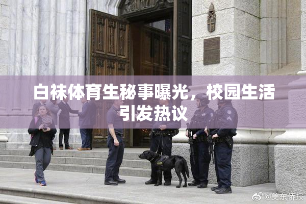 白袜体育生秘事曝光，校园生活引发热议