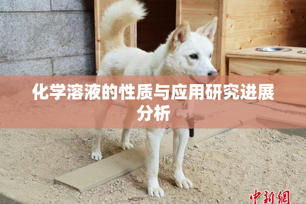 化学溶液的性质与应用研究进展分析