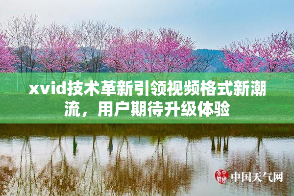 xvid技术革新引领视频格式新潮流，用户期待升级体验