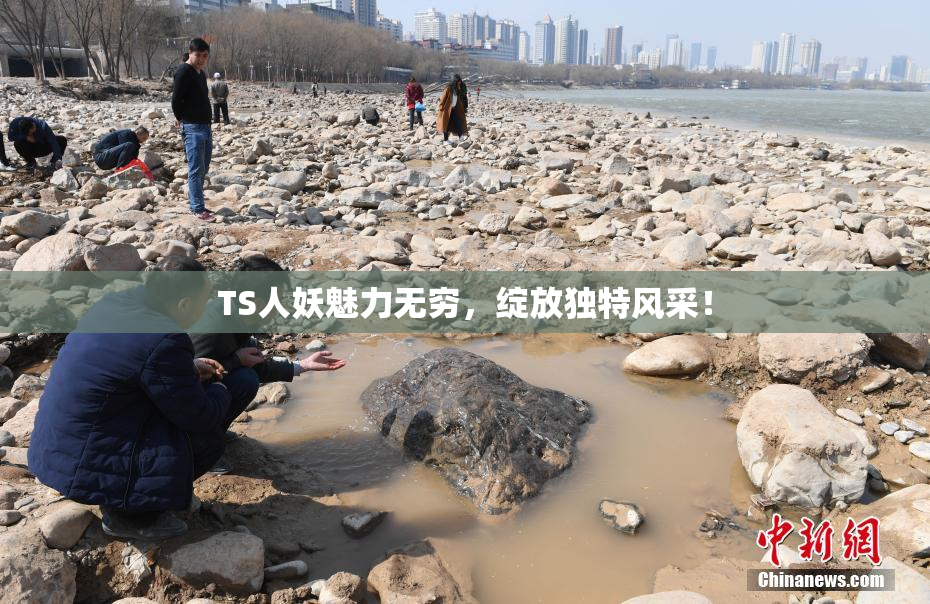 TS人妖魅力无穷，绽放独特风采！