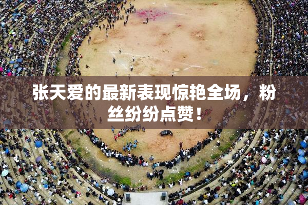 张天爱的最新表现惊艳全场，粉丝纷纷点赞！