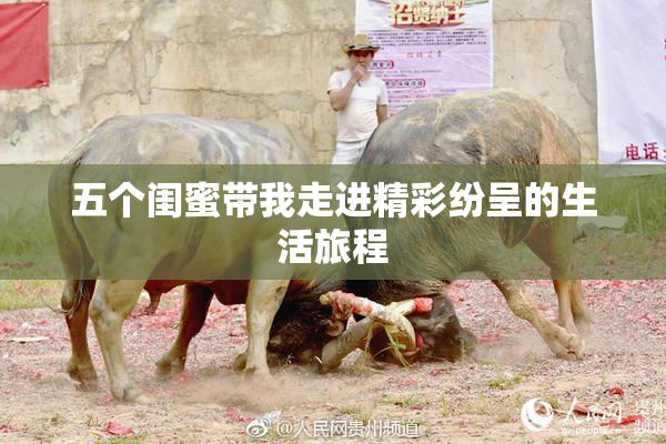 五个闺蜜带我走进精彩纷呈的生活旅程