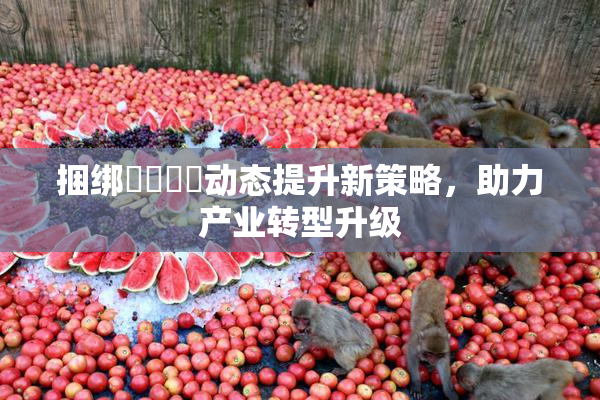 捆绑❌‌❌‌动态提升新策略，助力产业转型升级