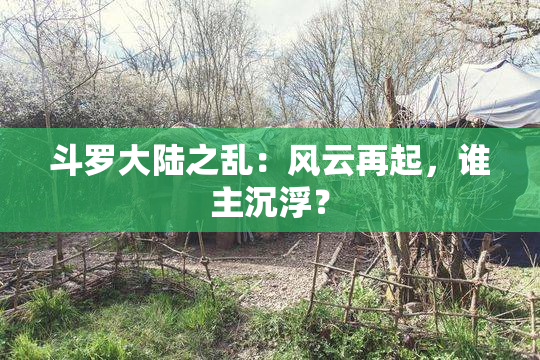 斗罗大陆之乱：风云再起，谁主沉浮？