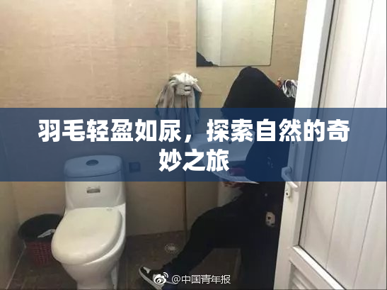 羽毛轻盈如尿，探索自然的奇妙之旅