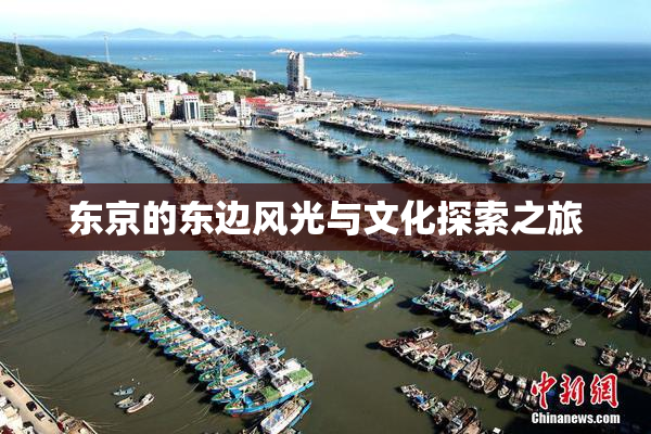 东京的东边风光与文化探索之旅