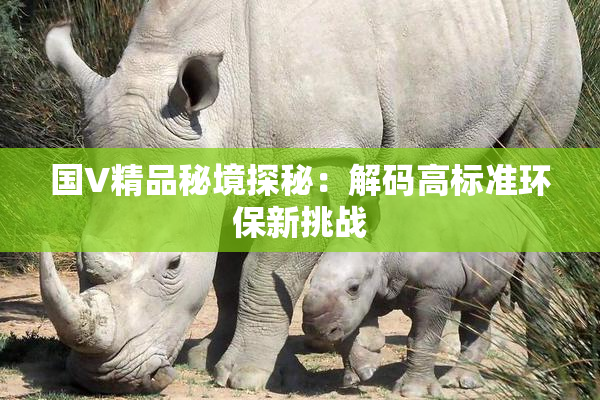 国V精品秘境探秘：解码高标准环保新挑战