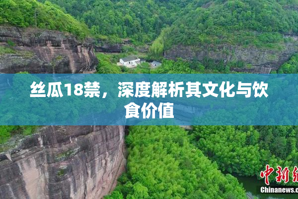 丝瓜18禁，深度解析其文化与饮食价值