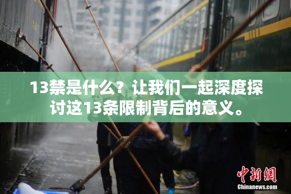13禁是什么？让我们一起深度探讨这13条限制背后的意义。