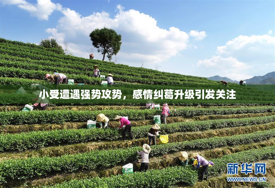 小受遭遇强势攻势，感情纠葛升级引发关注