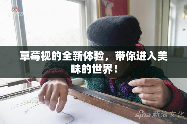 草莓视的全新体验，带你进入美味的世界！