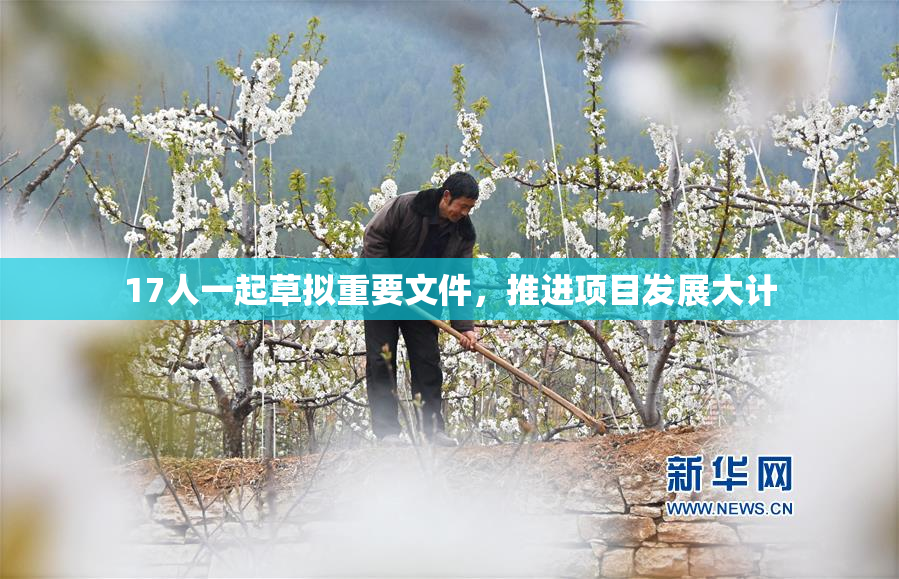 17人一起草拟重要文件，推进项目发展大计