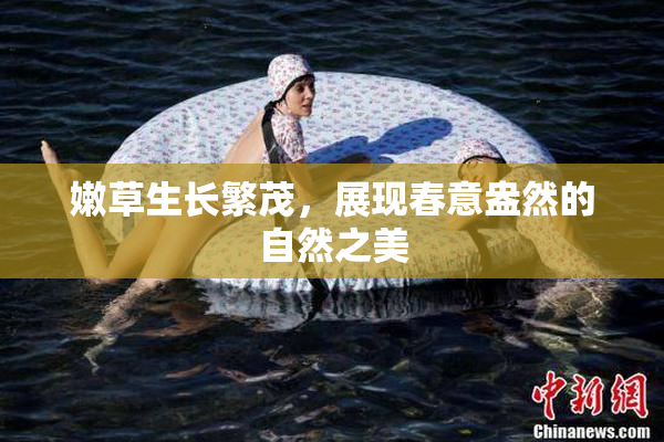 嫩草生长繁茂，展现春意盎然的自然之美