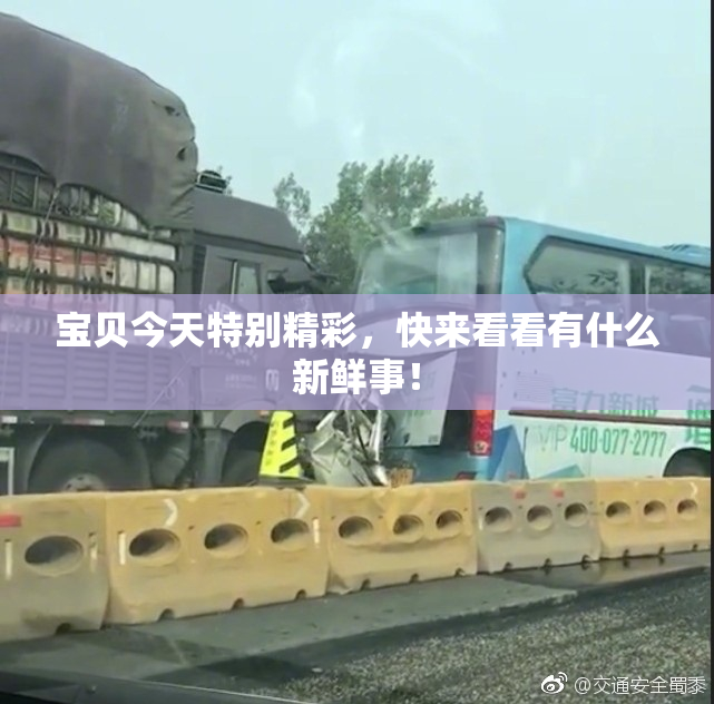 宝贝今天特别精彩，快来看看有什么新鲜事！