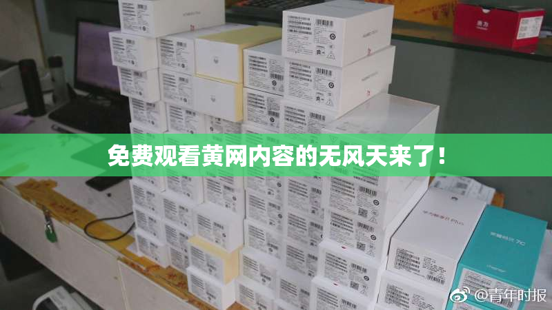 免费观看黄网内容的无风天来了！
