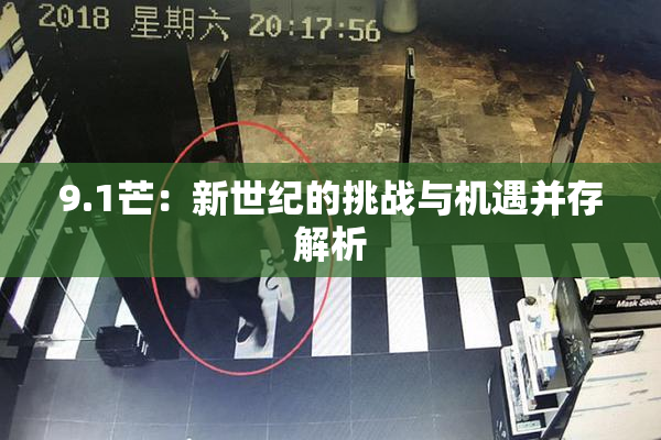 9.1芒：新世纪的挑战与机遇并存解析