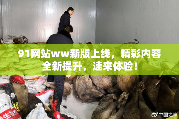 91网站ww新版上线，精彩内容全新提升，速来体验！