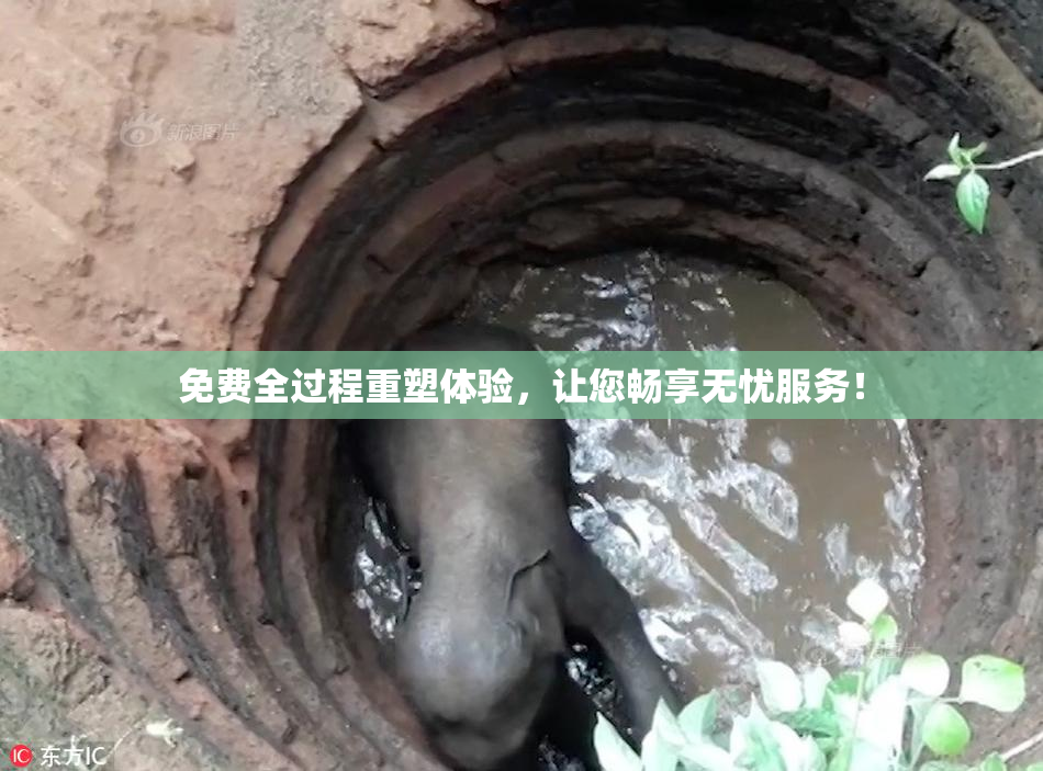 免费全过程重塑体验，让您畅享无忧服务！