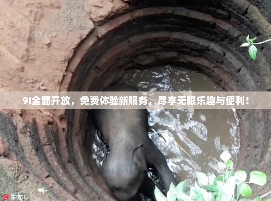 9I全面开放，免费体验新服务，尽享无限乐趣与便利！