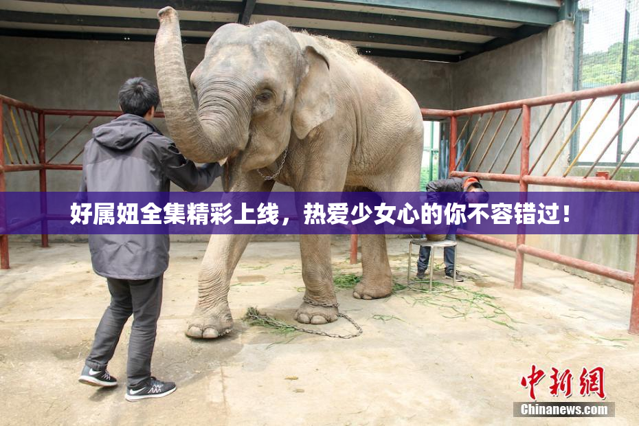 好属妞全集精彩上线，热爱少女心的你不容错过！
