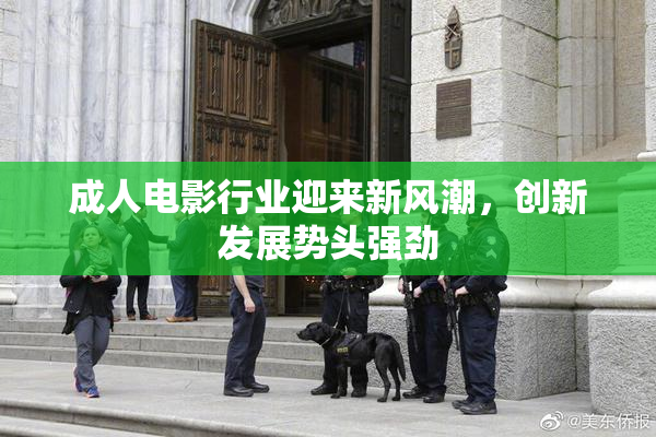 成人电影行业迎来新风潮，创新发展势头强劲