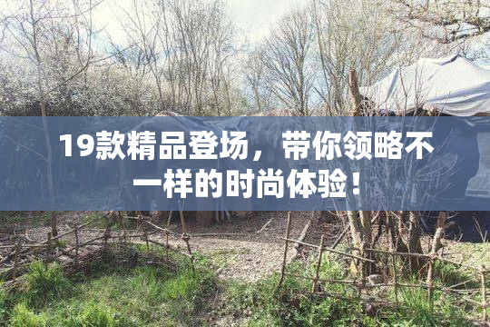 19款精品登场，带你领略不一样的时尚体验！