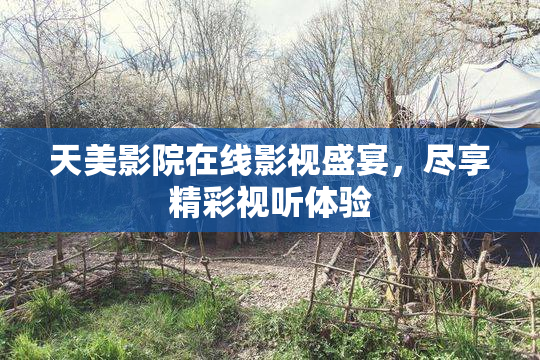 天美影院在线影视盛宴，尽享精彩视听体验