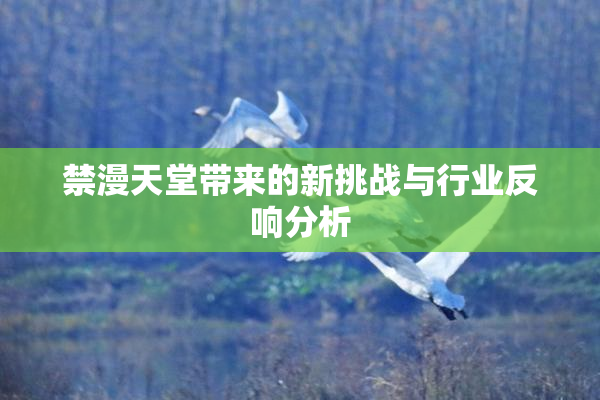 禁漫天堂带来的新挑战与行业反响分析