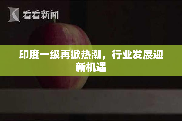 印度一级再掀热潮，行业发展迎新机遇