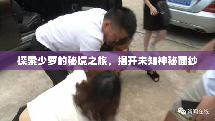 探索少萝的秘境之旅，揭开未知神秘面纱