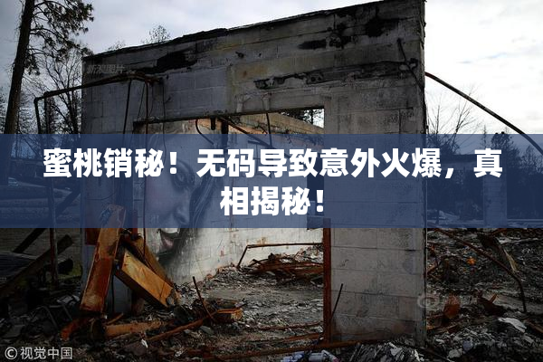 蜜桃销秘！无码导致意外火爆，真相揭秘！