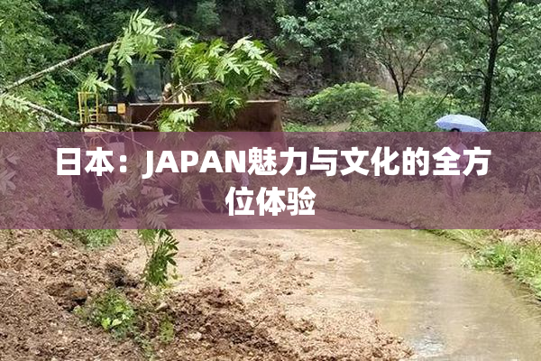 日本：JAPAN魅力与文化的全方位体验