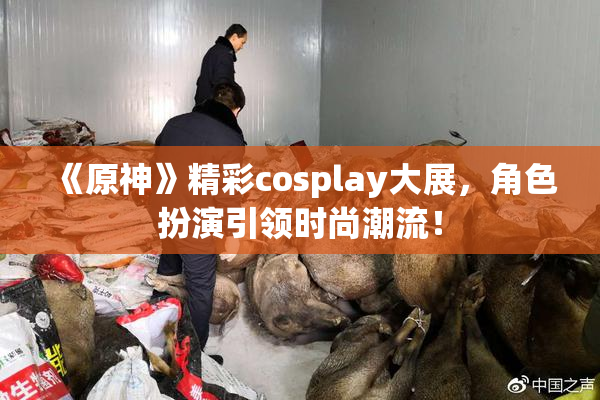 《原神》精彩cosplay大展，角色扮演引领时尚潮流！