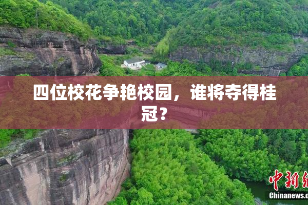 四位校花争艳校园，谁将夺得桂冠？