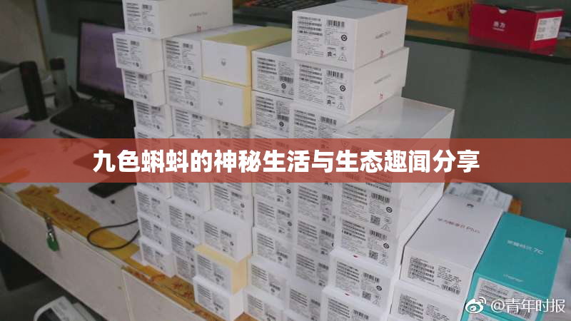九色蝌蚪的神秘生活与生态趣闻分享