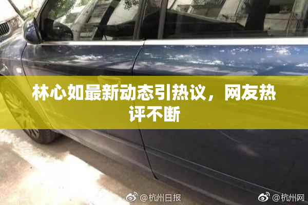 林心如最新动态引热议，网友热评不断