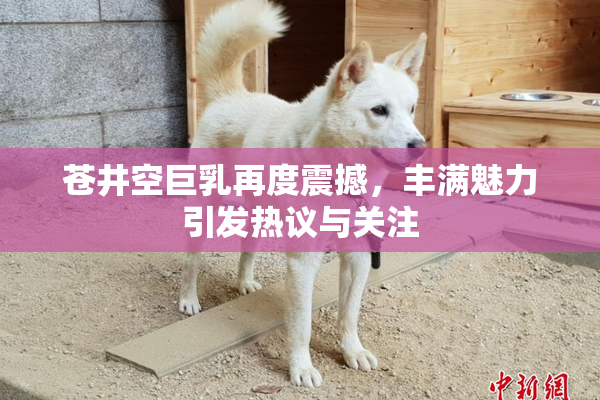 苍井空巨乳再度震撼，丰满魅力引发热议与关注