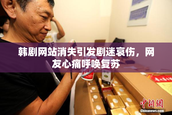 韩剧网站消失引发剧迷哀伤，网友心痛呼唤复苏
