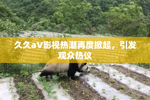 久久aV影视热潮再度掀起，引发观众热议