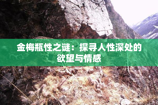 金梅瓶性之谜：探寻人性深处的欲望与情感