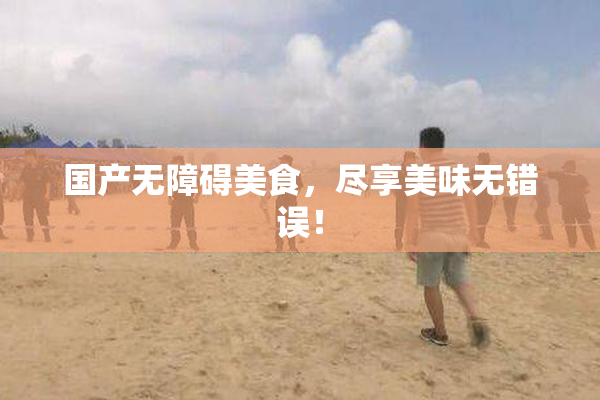 国产无障碍美食，尽享美味无错误！