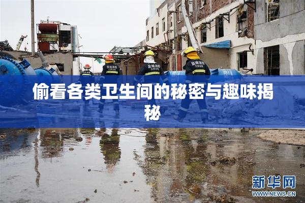 偷看各类卫生间的秘密与趣味揭秘