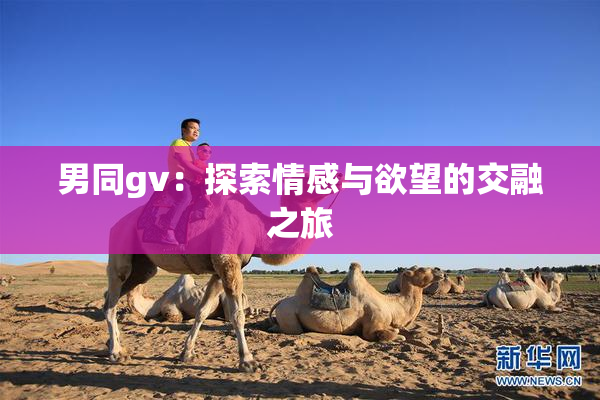 男同gv：探索情感与欲望的交融之旅