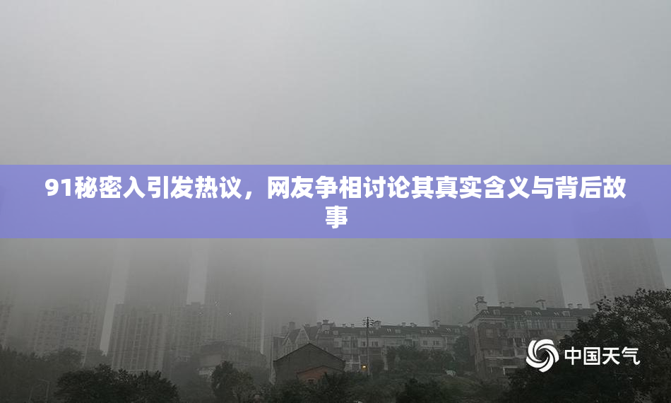 91秘密入引发热议，网友争相讨论其真实含义与背后故事