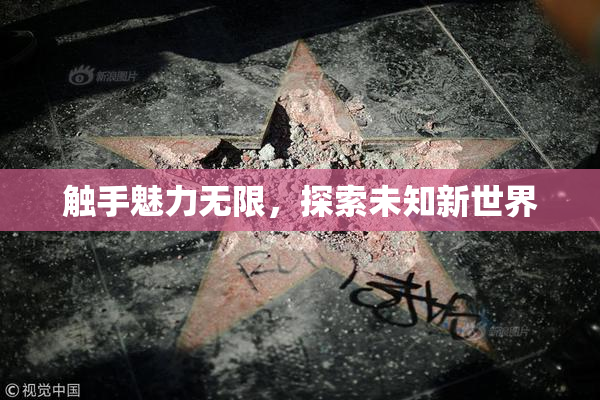 触手魅力无限，探索未知新世界