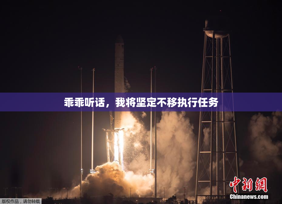 乖乖听话，我将坚定不移执行任务