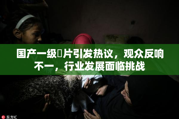 国产一级婬片引发热议，观众反响不一，行业发展面临挑战