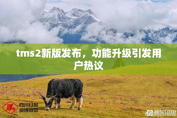 tms2新版发布，功能升级引发用户热议