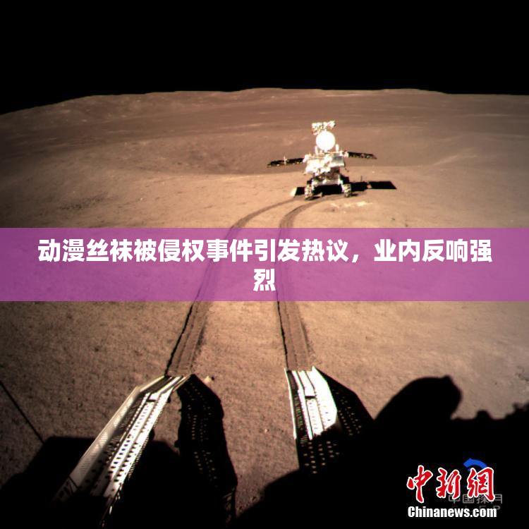 动漫丝袜被侵权事件引发热议，业内反响强烈